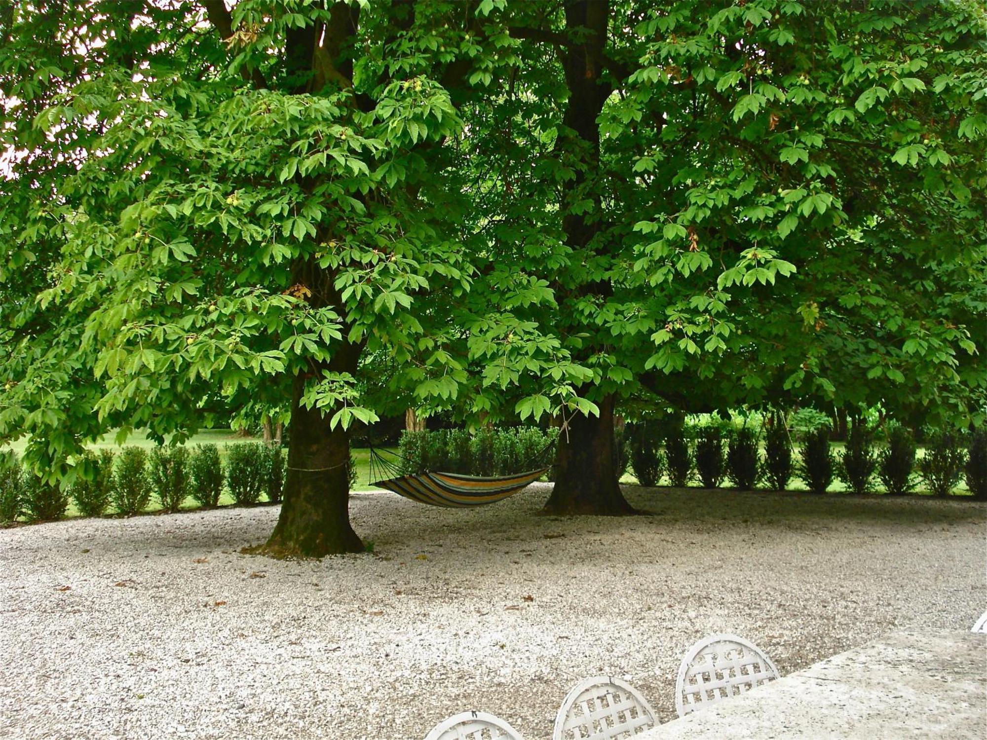 Villa Maffei Rizzardi Palu Exteriör bild
